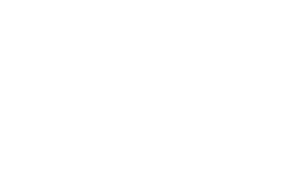 РУКОВОДСТВО